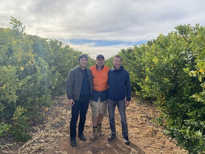 ▲オーストラリアのレモン農場にて