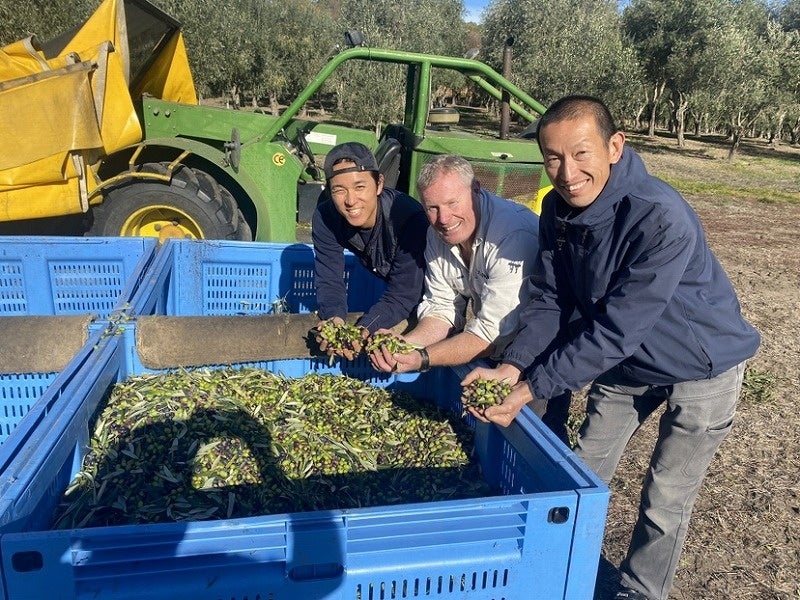 ▲左から栽培責任者・井上、オリーブ農家エドさん、 搾油責任者・大坪