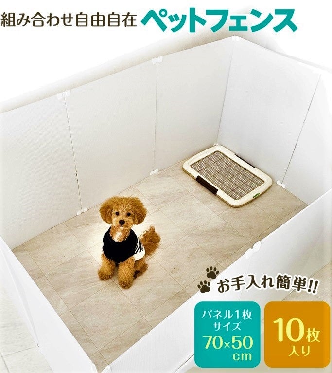 てんぷら プチプチ+段ボール 天ぷらが美味しくなっていた | お家で作ったらいつもあるとき