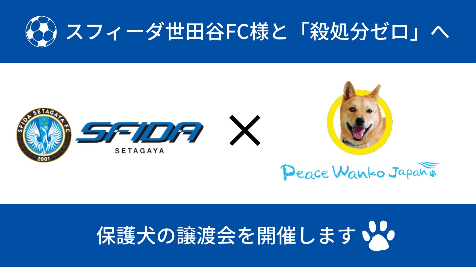 ピースワンコ スフィーダ世田谷fcとともに 日本の犬の殺処分ゼロ への挑戦へ ピースウィンズ ジャパンのプレスリリース ピースワンコ スフィーダ世田谷fcとともに 日本の犬の殺処分ゼロ への挑戦へ ピースウィンズ ジャパンのプレスリリース