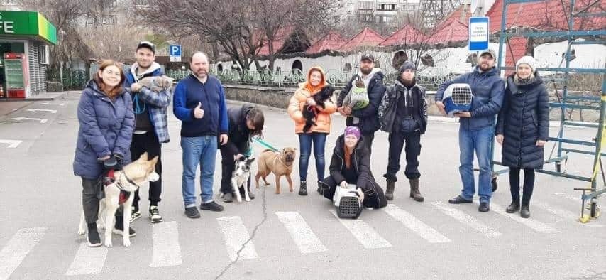 チェルニヒフ市から避難を支援した方々とペットたち