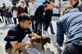 チェルニーヒウでのペットフード支援