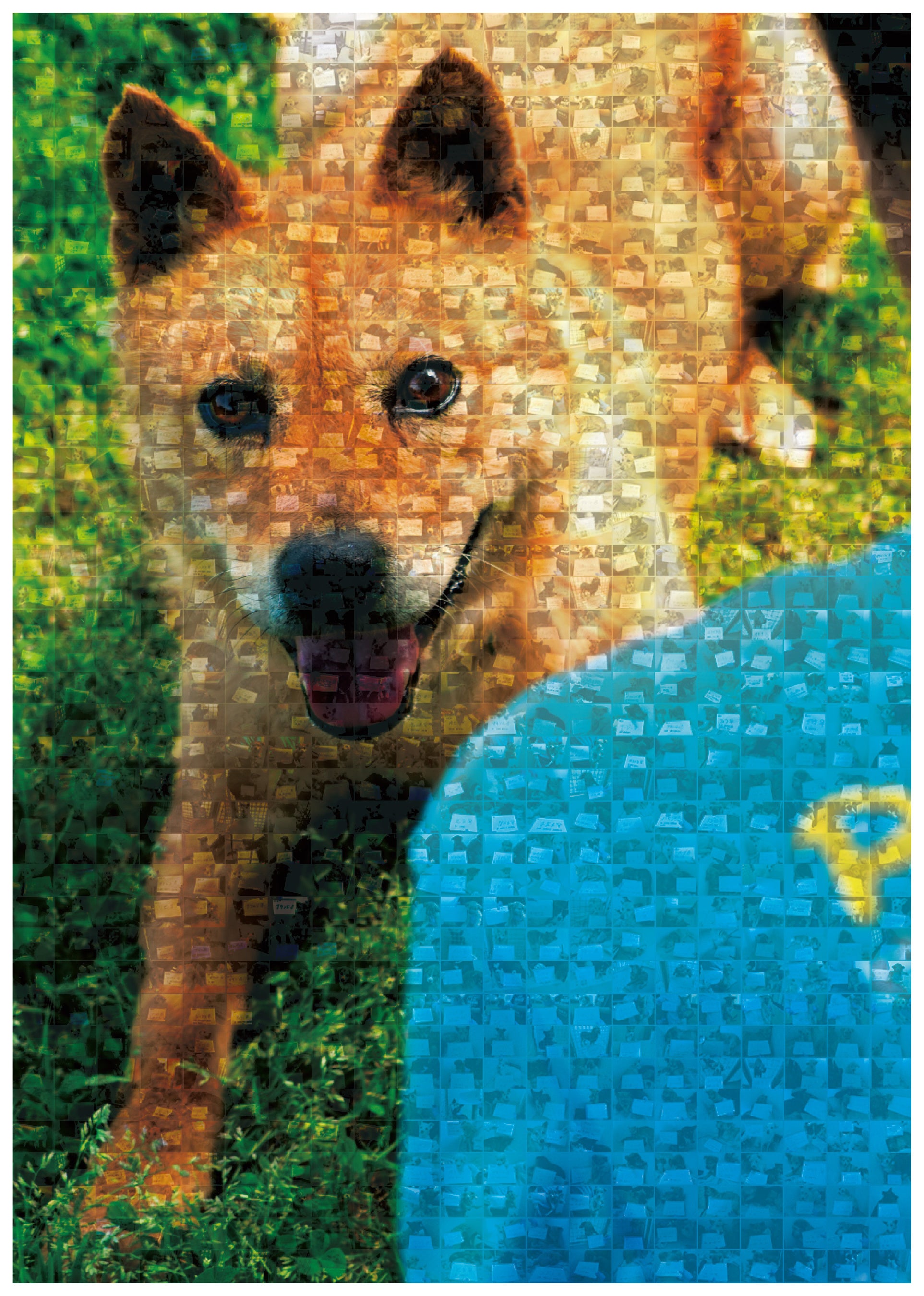逃避夢/焼け犬 rectangle_large_type_2_6d37c4a