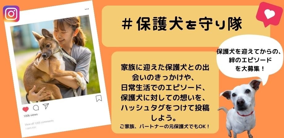 保護犬活動の為断捨離中 希少特大タオル 星形ロゴ 保護犬活動の為断捨離中 希少特大タオル 星形ロゴ 保護