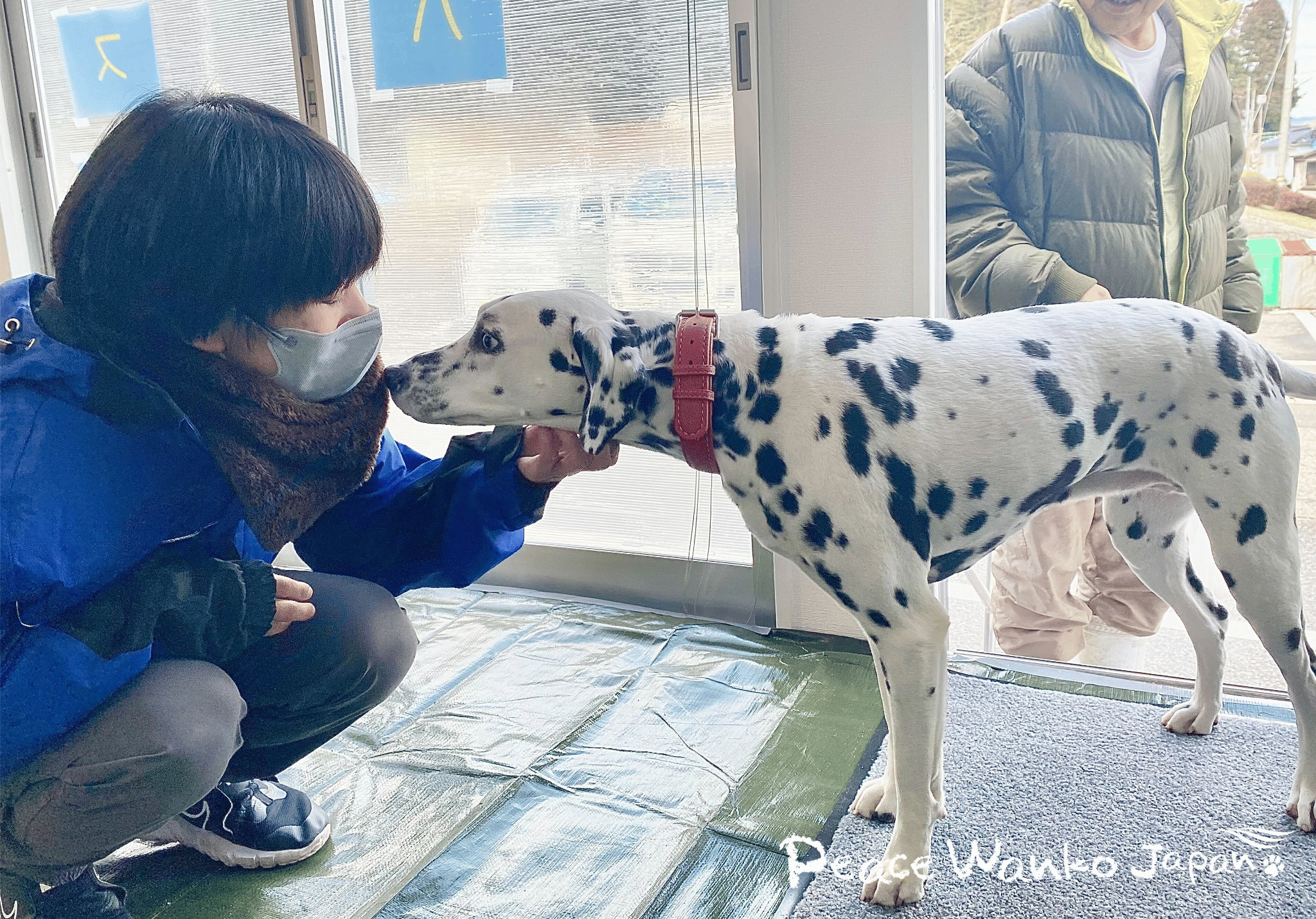 2月12日より日中のペット預かり支援を開始