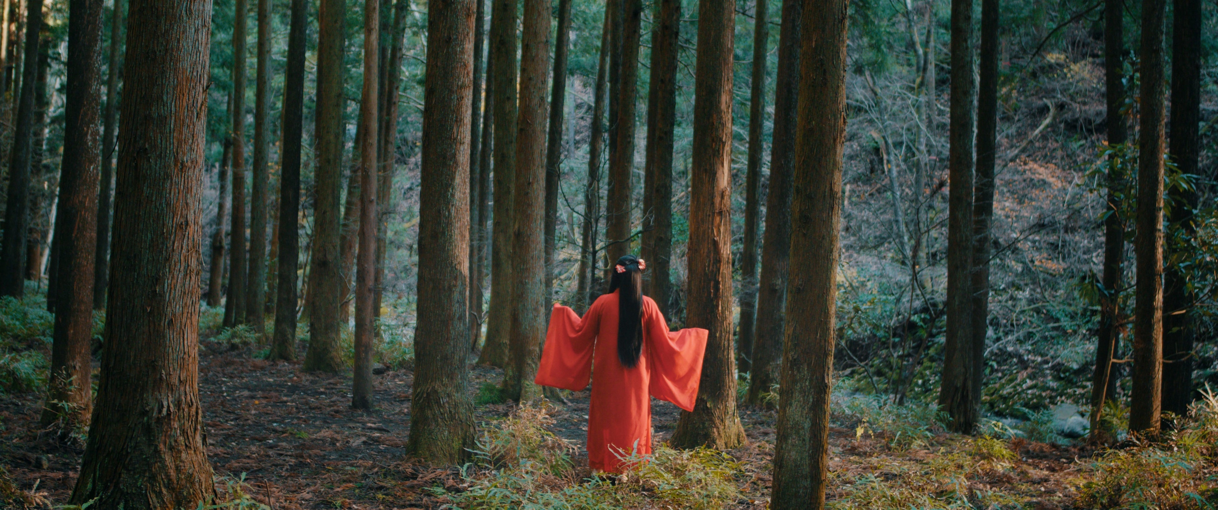 ティーザーサムネイル