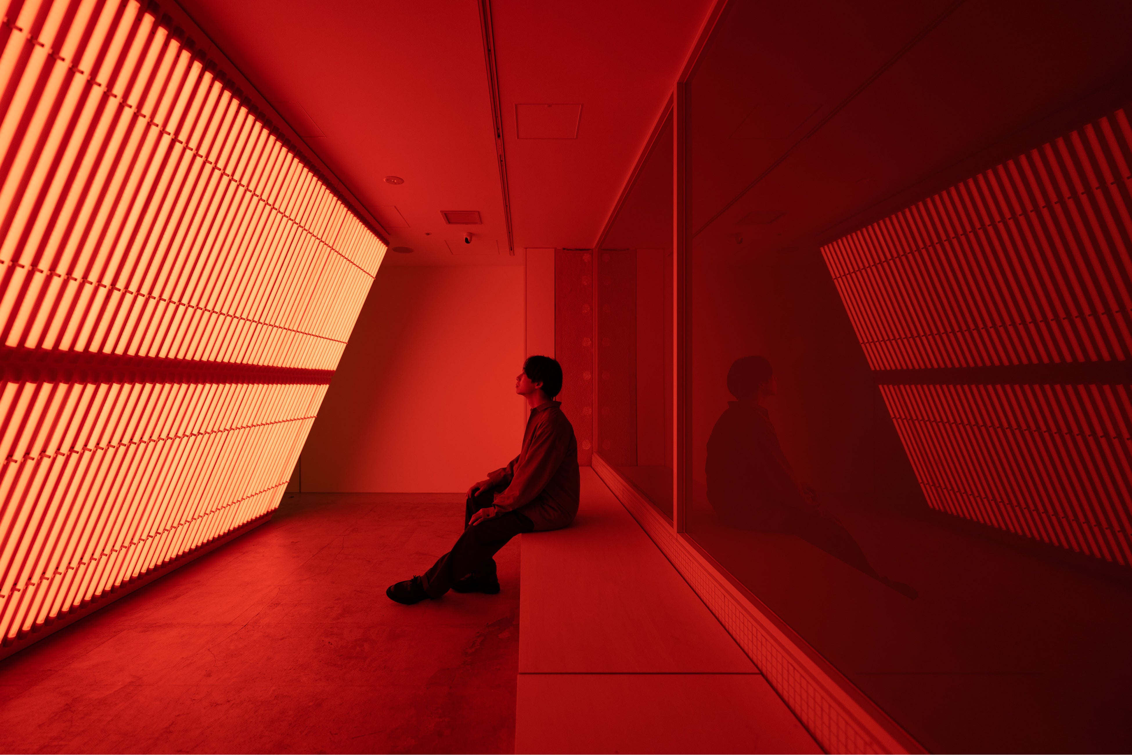 京都で大きな話題となった玉山拓郎による光のインスタレーションが銀座