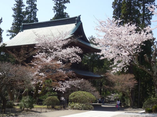 鎌倉「円覚寺」