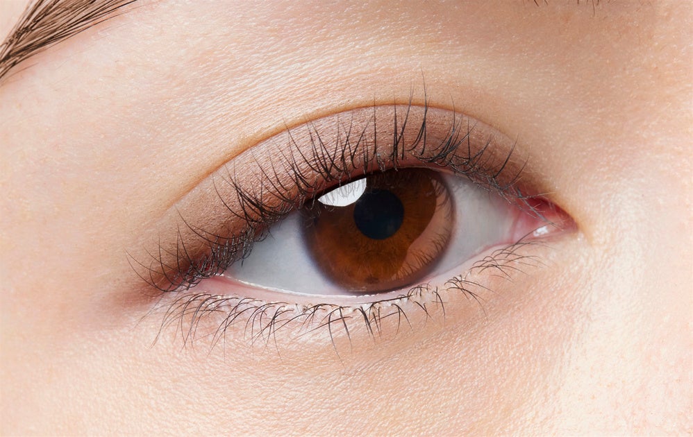 パラドゥ　シングルアイシャドウ　GY01 透けるマットグレージュ(仕上がりイメージ1)