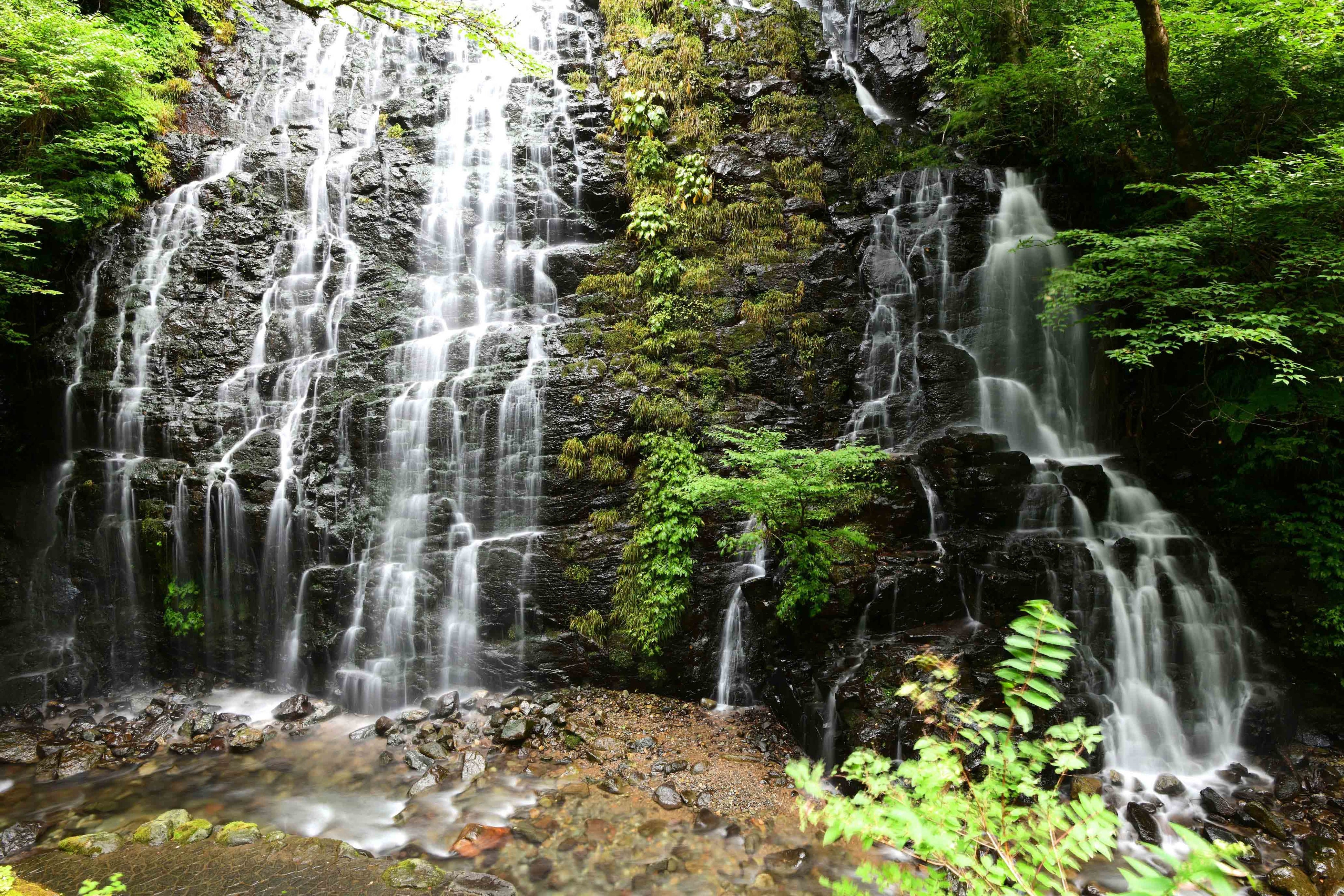 日本の滝100選に選ばれた龍双ヶ滝