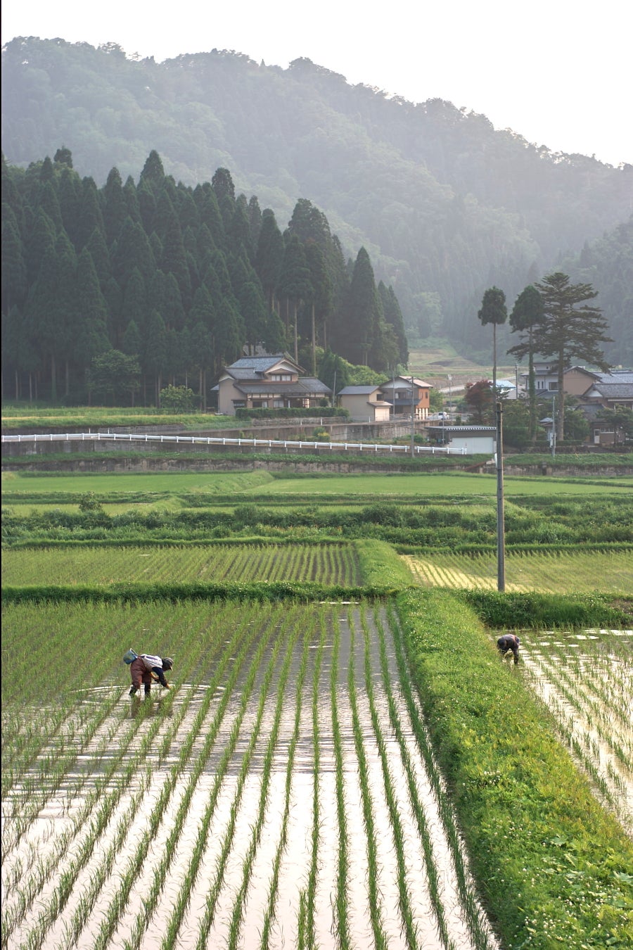 池田町の風景