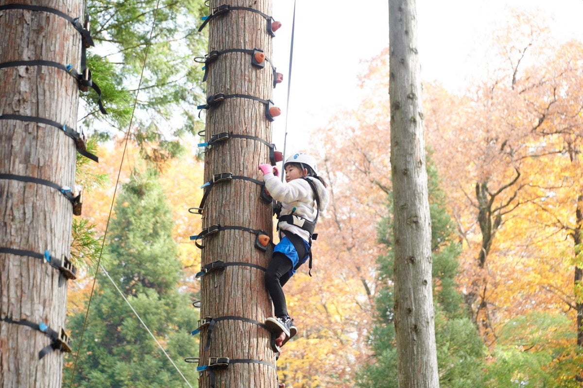 ツリークライムコース