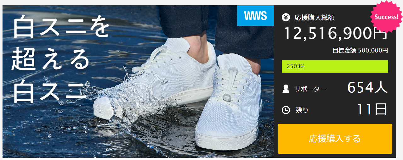 雨でも履く。洗濯機で洗える。「白スニを超える白スニ」が目標金額2500