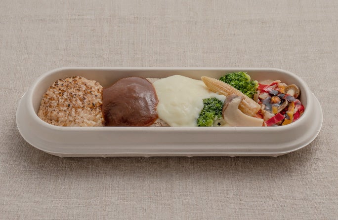 おからとレンコン入りハンバーグ・Wソース