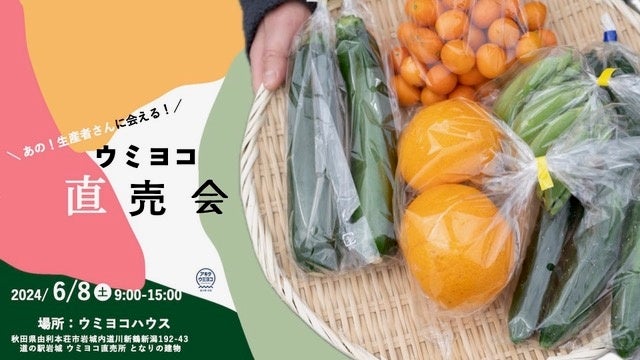 NO ７ イワヒバ( 岩松 ） ３０年物 激安の投売り大特価です NO 7 イワヒバ( 岩松 ） 30年物 激安の投売り大特価です NO 1