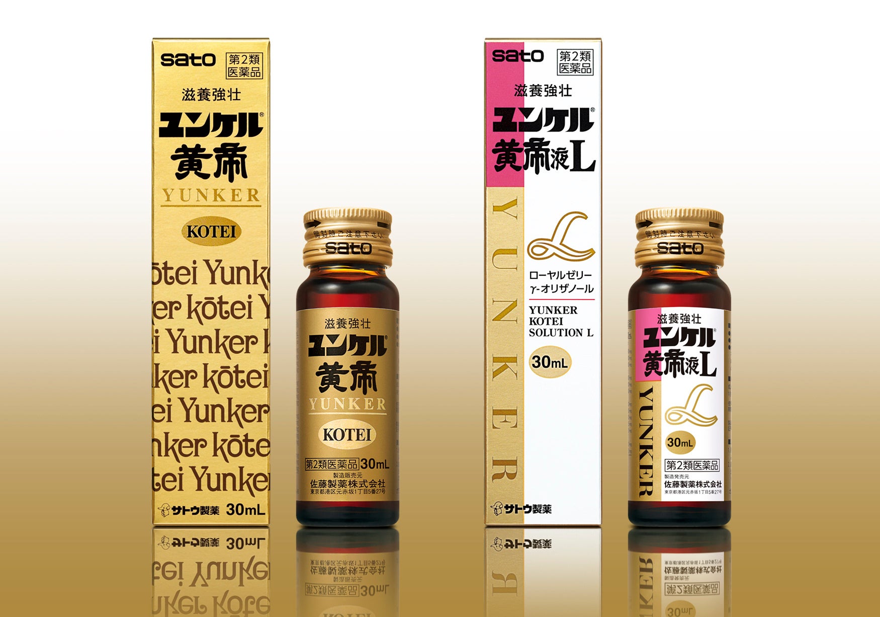 活動歴および当時の関連ビジュアル記録