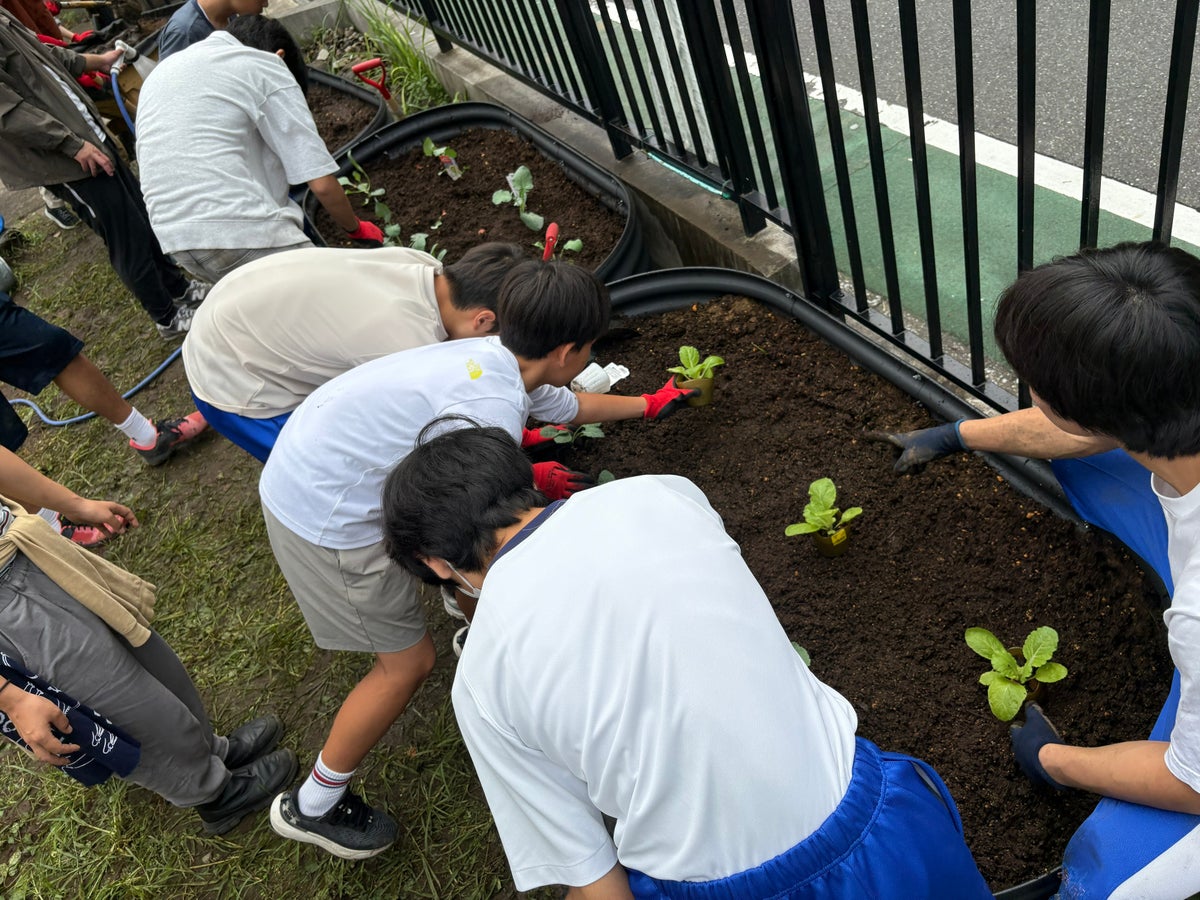 生徒たちによる野菜苗植えの様子