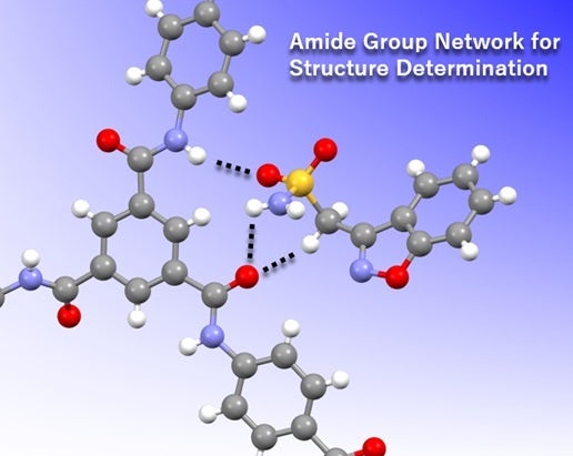 次世代の結晶スポンジ開発に成功