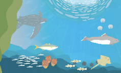 国立大学東京大学大気海洋研究所と共同制作したアニメーション