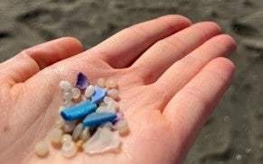 海洋プラスチック（マイクロプラスチック）