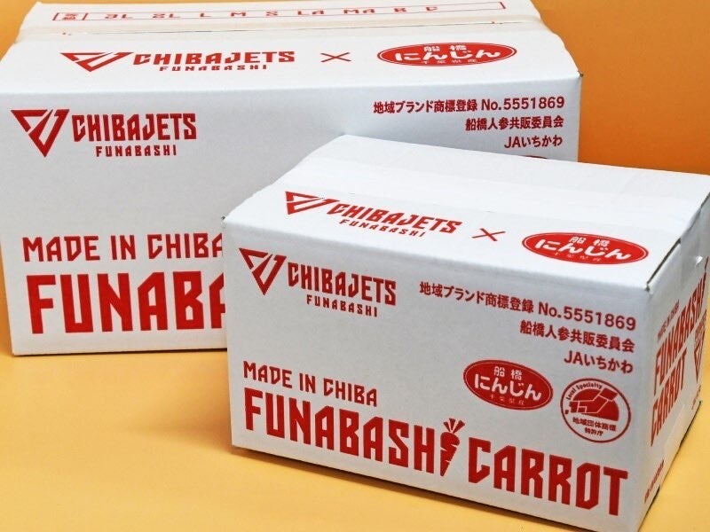 てん様確認用 Amazon | Kawasaki 2020 NINJA ZX-10R オイルエレメント+ドレン