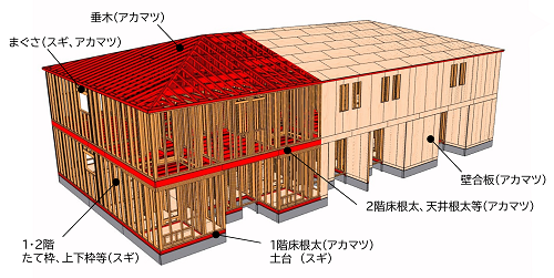 アカマツを活用した２×４工法建築物のイメージ