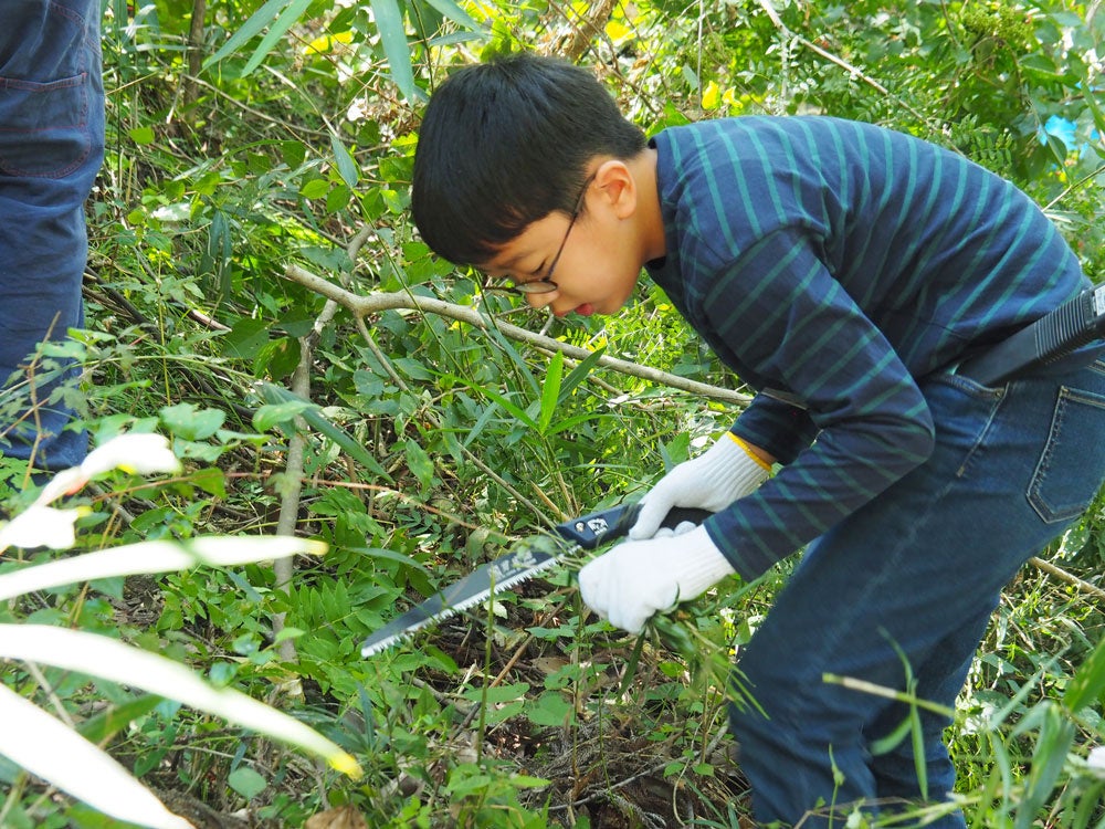 手鋸を使って草木を刈り取る下刈り
