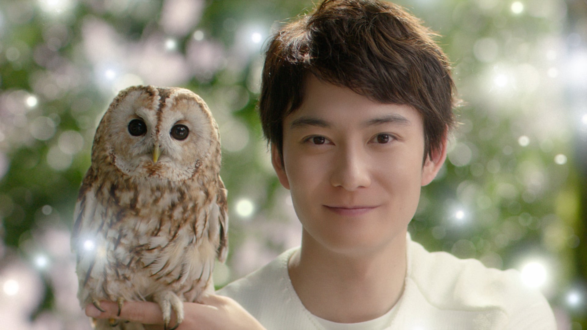 新tvcm ビオフェルミンの森 第3弾 Big Tree フクロウ篇 が11月1日 火 より全国で放映開始 ビオフェルミン製薬株式会社のプレスリリース 新tvcm ビオフェルミンの森 第3弾 Big Tree フクロウ篇 が11月1日 火 より全国で放映開始 ビオフェルミン製薬株式会社のプレスリリース