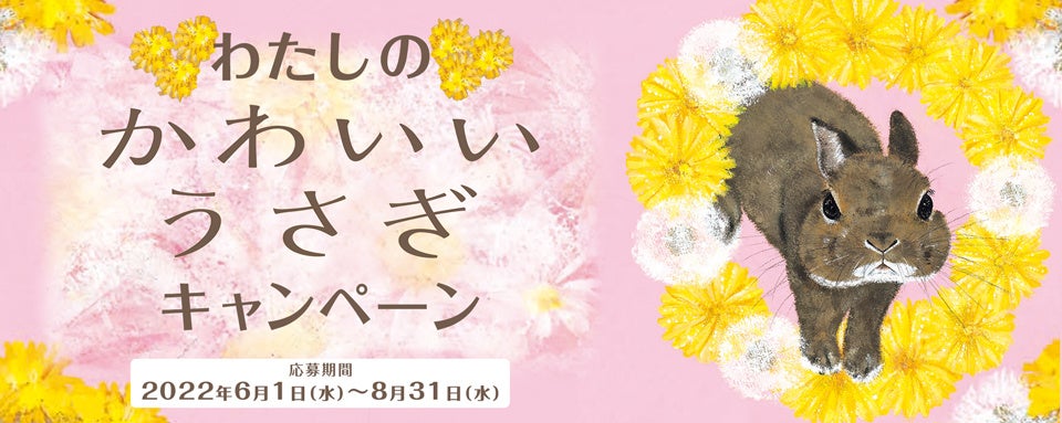 キャンペーン情報 うさぎ愛があふれて止まらない 絵本 かわいいうさぎ 刊行記念 わたしのかわいいうさぎ キャンペーン 株式会社 岩崎書店のプレスリリース キャンペーン情報 うさぎ愛があふれて止まらない 絵本 かわいいうさぎ 刊行記念 わたしのかわいいうさぎ キャンペーン 株式会社 岩崎書店のプレスリリース