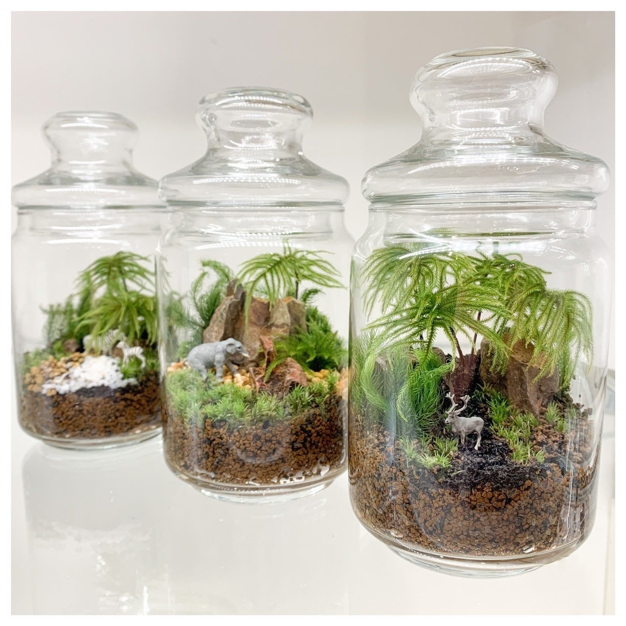 都会で暮らす方々に 植物のある暮らしを提案 自分好みの苔テラリウム作品を作成できる体験 型植物イベント 小田急ボタニカルラウンジ を開催します 株式会社小田急百貨店のプレスリリース 都会で暮らす方々に 植物のある暮らしを提案 自分好みの苔テラリウム作品を作成できる体験 型植物イベント 小田急ボタニカルラウンジ を開催します 株式会社小田急百貨店のプレスリリース