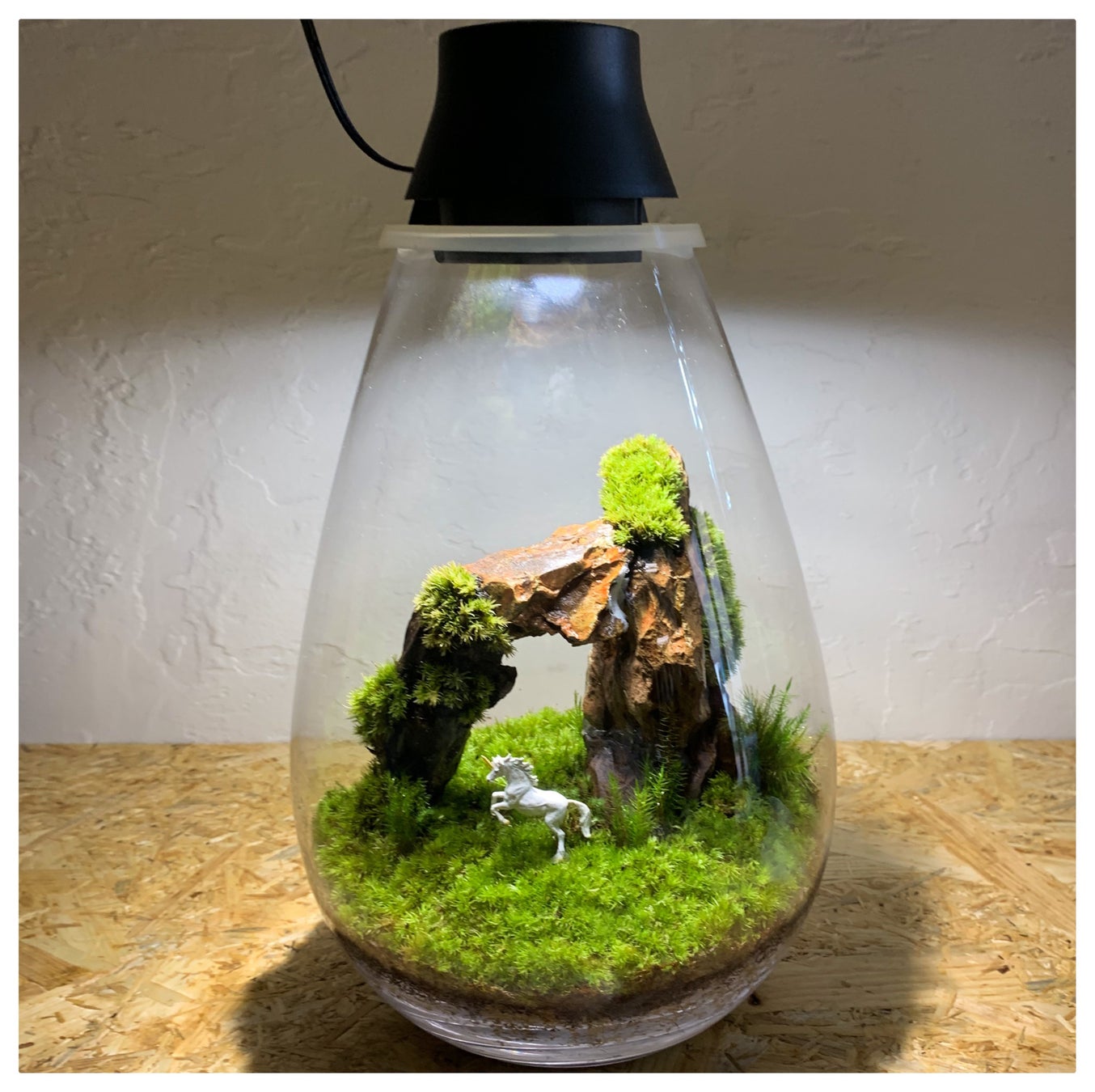 都会で暮らす方々に 植物のある暮らしを提案 自分好みの苔テラリウム 作品を作成できる体験型植物イベント 小田急ボタニカルラウンジ を開催します 株式会社小田急百貨店のプレスリリース 都会で暮らす方々に 植物のある暮らしを提案 自分好みの苔テラリウム 作品を作成できる体験型植物イベント 小田急ボタニカルラウンジ を開催します 株式会社小田急百貨店のプレスリリース