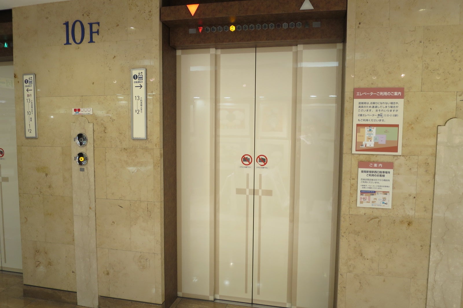 本館10階の壁や床で化石を発見