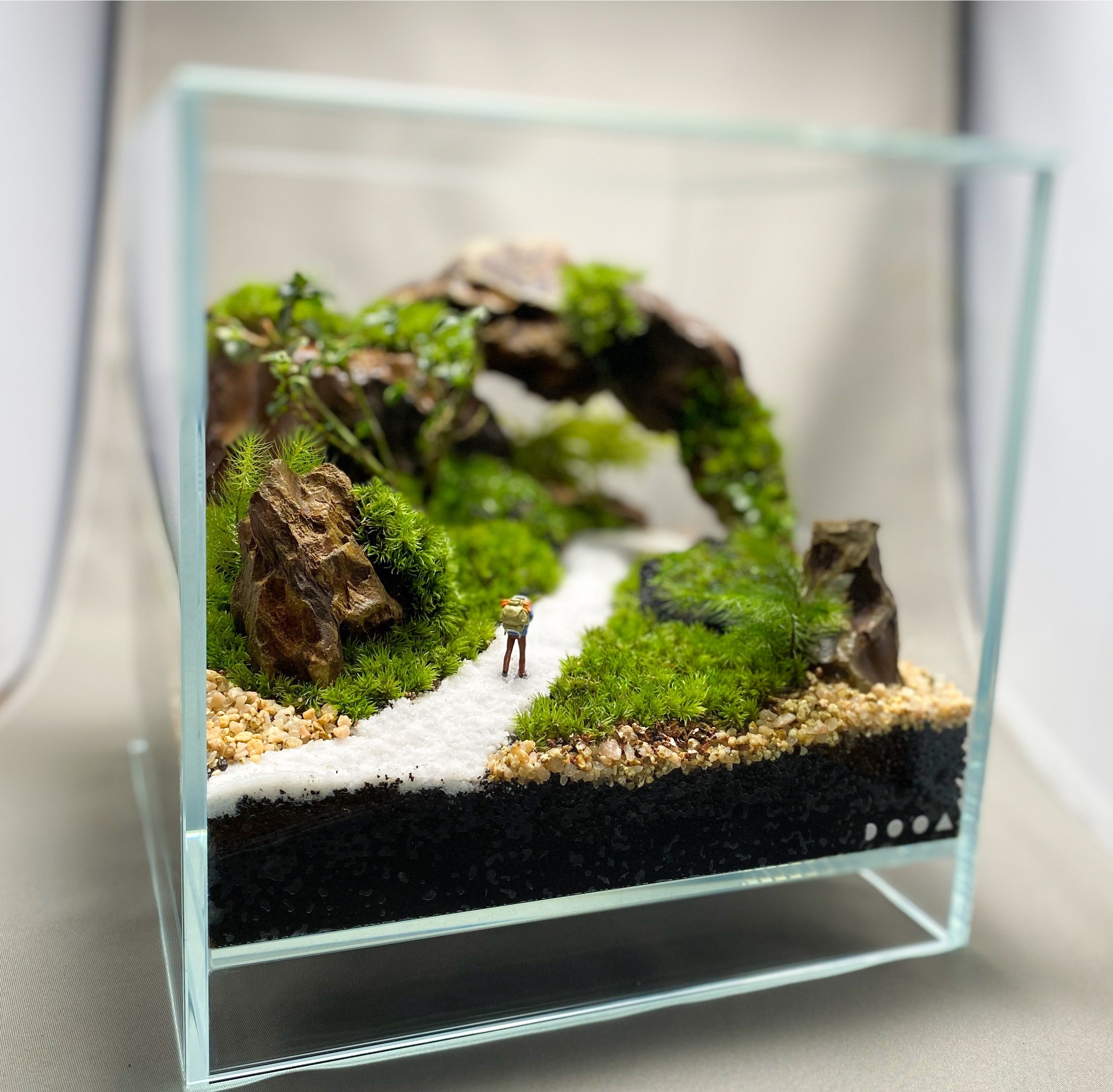 オリジナルの苔テラリウムづくりも