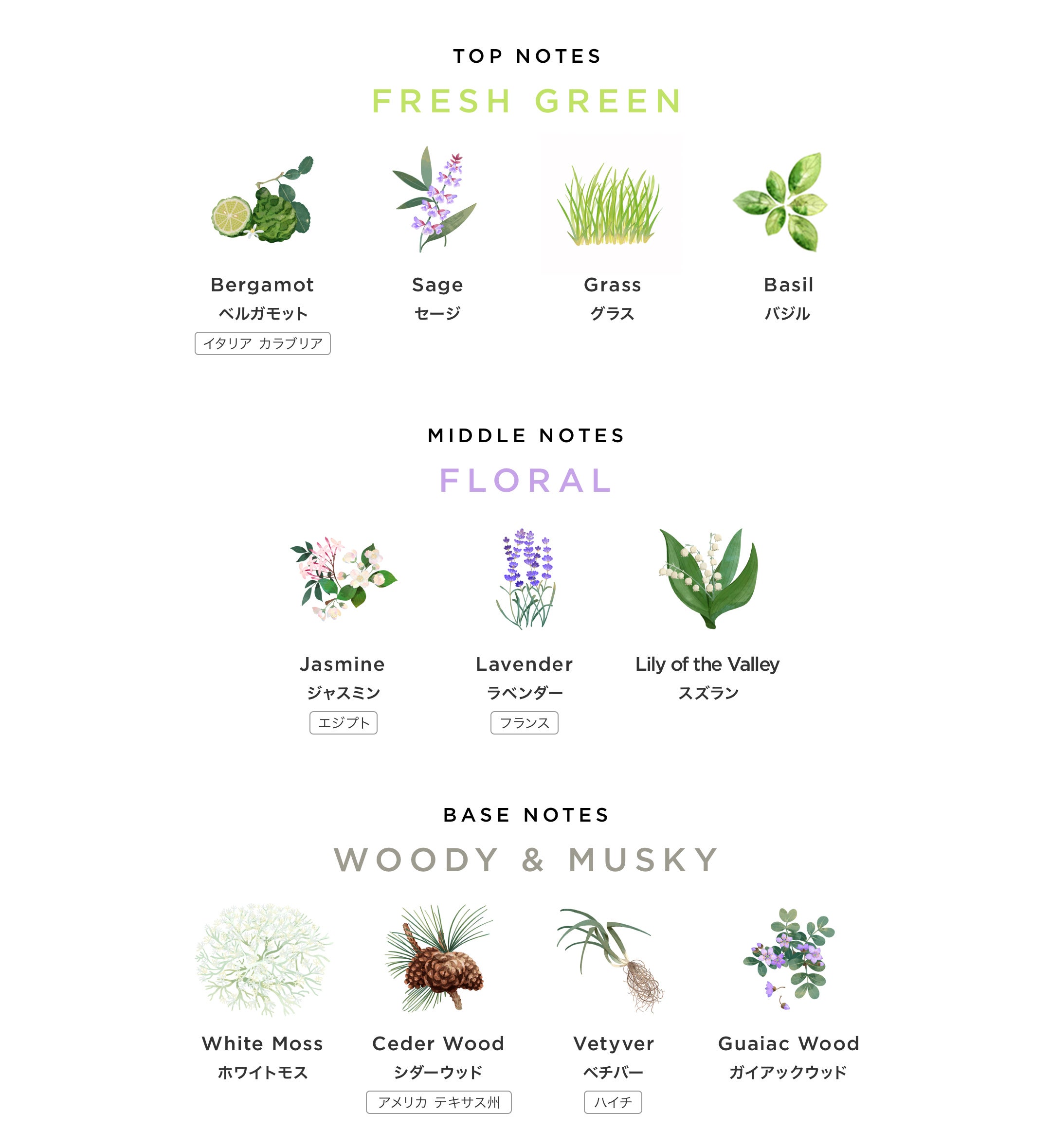 「TOKYO」香りの特徴