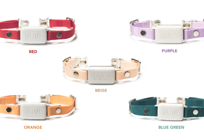 イヌパシー®︎】こころとからだを見守る首輪型のスマートデバイス