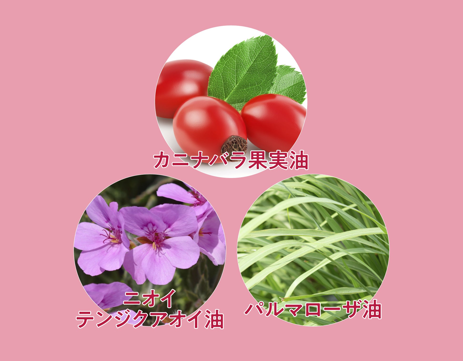 Koh Gen Do ホリデーコレクション2023 開けた瞬間、多幸感