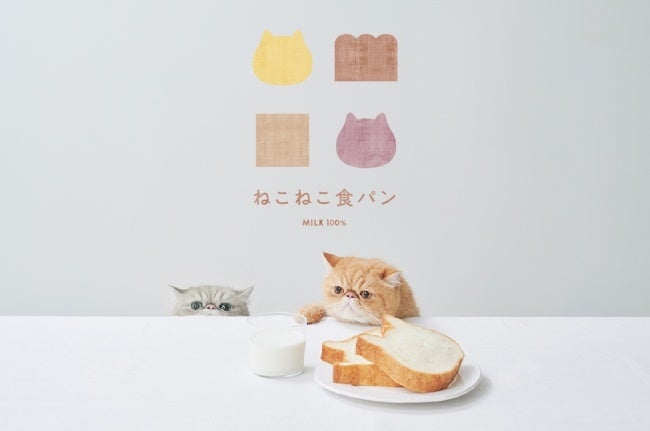 11/11～新パッケージに！ねこ好きさん必見】”ねこ”をモチーフと