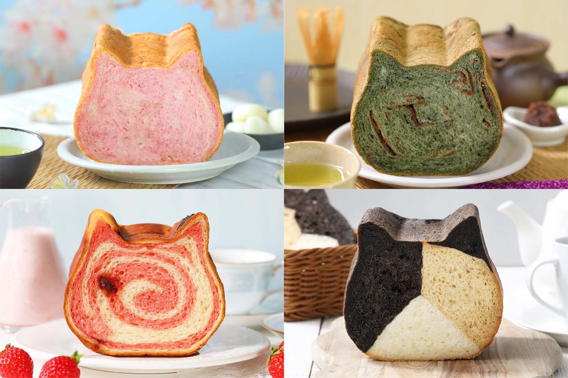 3/22限定！新生活のお祝いやギフトに贈りたいねこねこ食パン