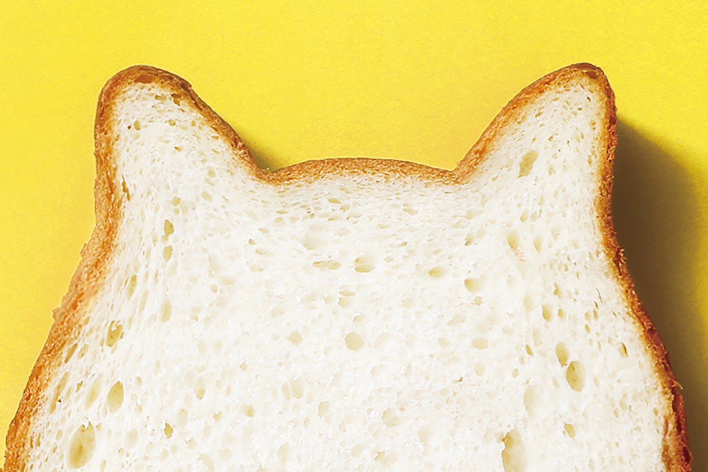 474【可愛い美品】【お得】カルセドニー　猫の手バングル 474可愛い美品お得カルセドニー 猫の手バングル