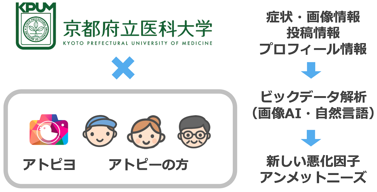 京都府立医科大学との共同研究-アトピヨ