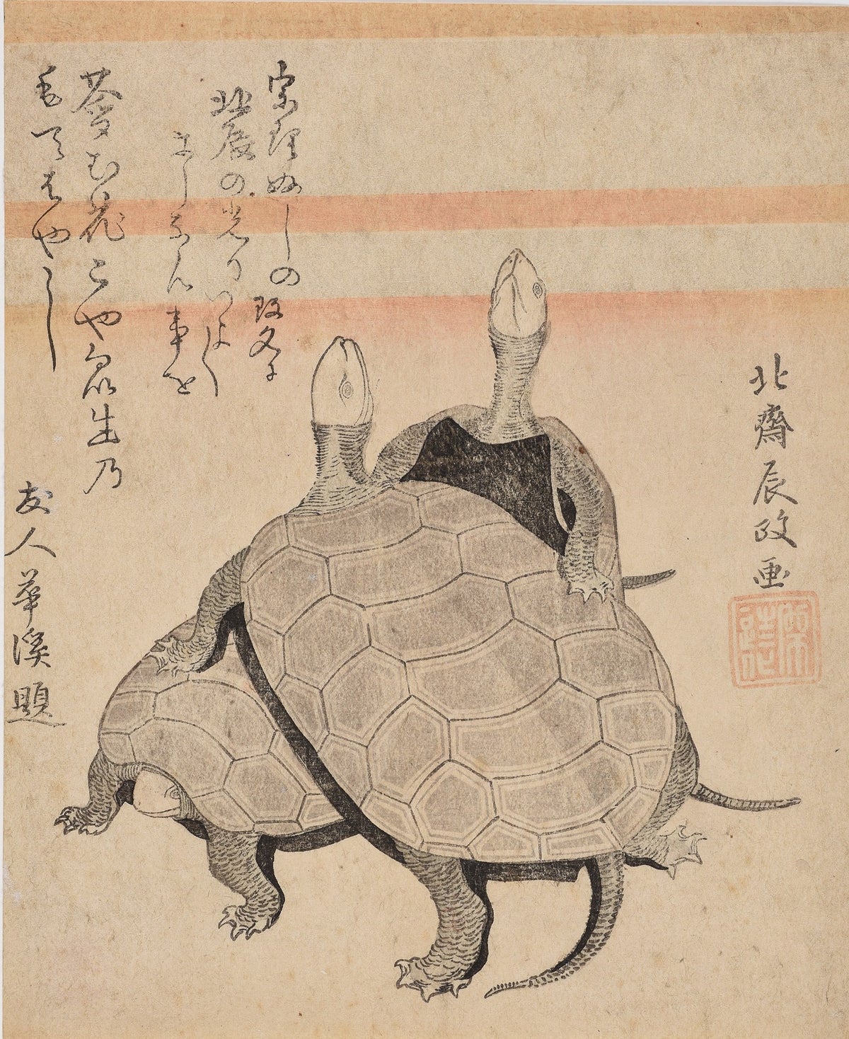葛飾北斎《亀》1798(寛政10)年 島根県立美術館蔵(永田コレクション) 北斎が改号した際に自ら出資して知人へ配布した摺物。現存数は極めて少ない。