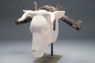 藤原宮跡出土 頸木（奈良文化財研究所）