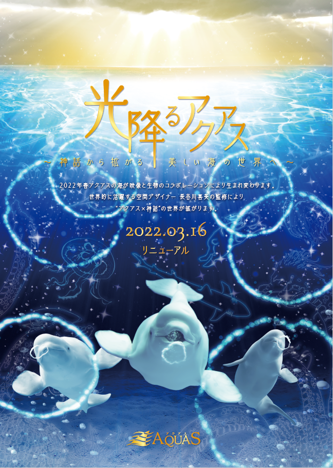 光降るアクアスキービジュアル