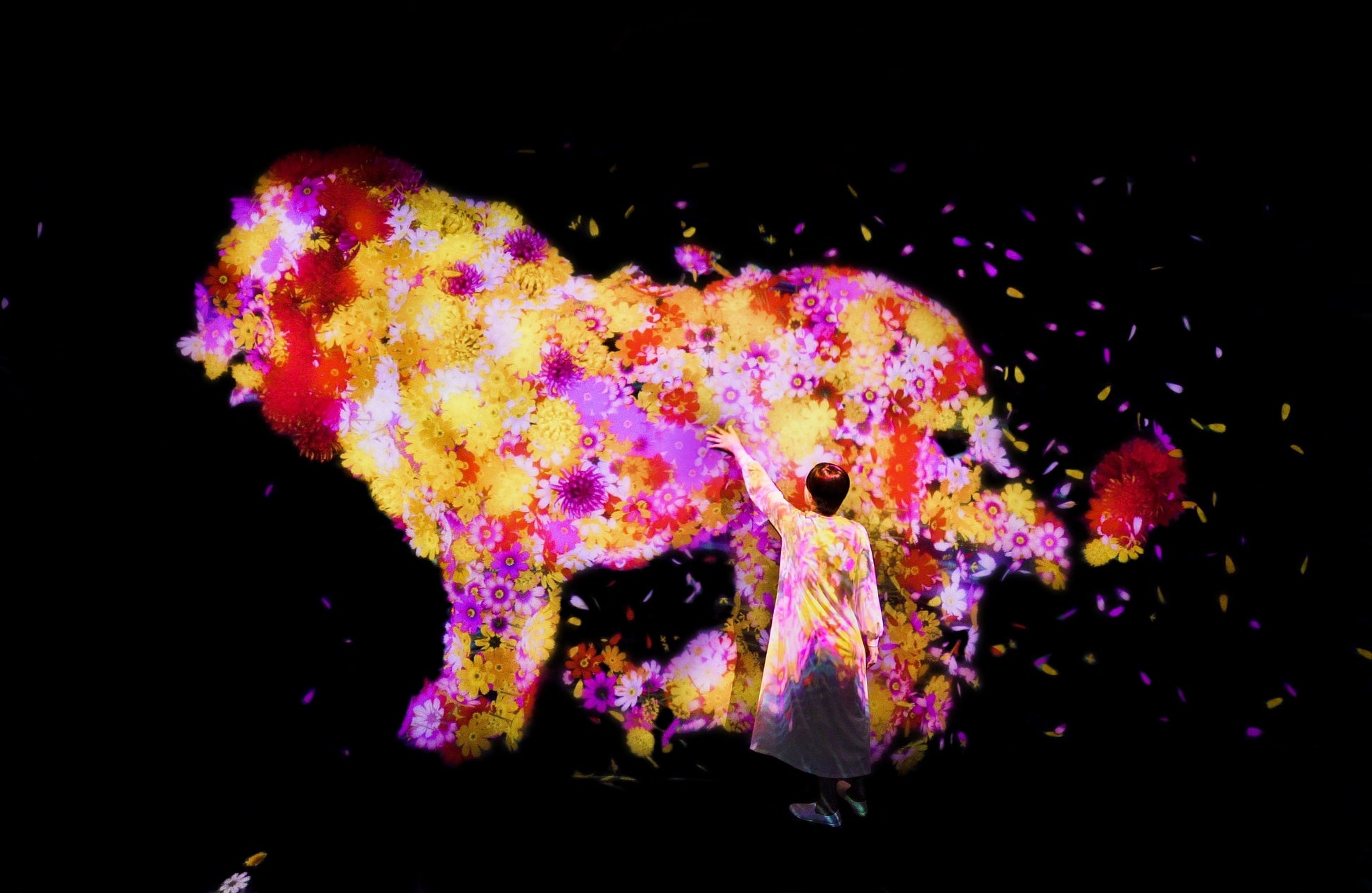 《花と共に生きる動物たち II》©チームラボ