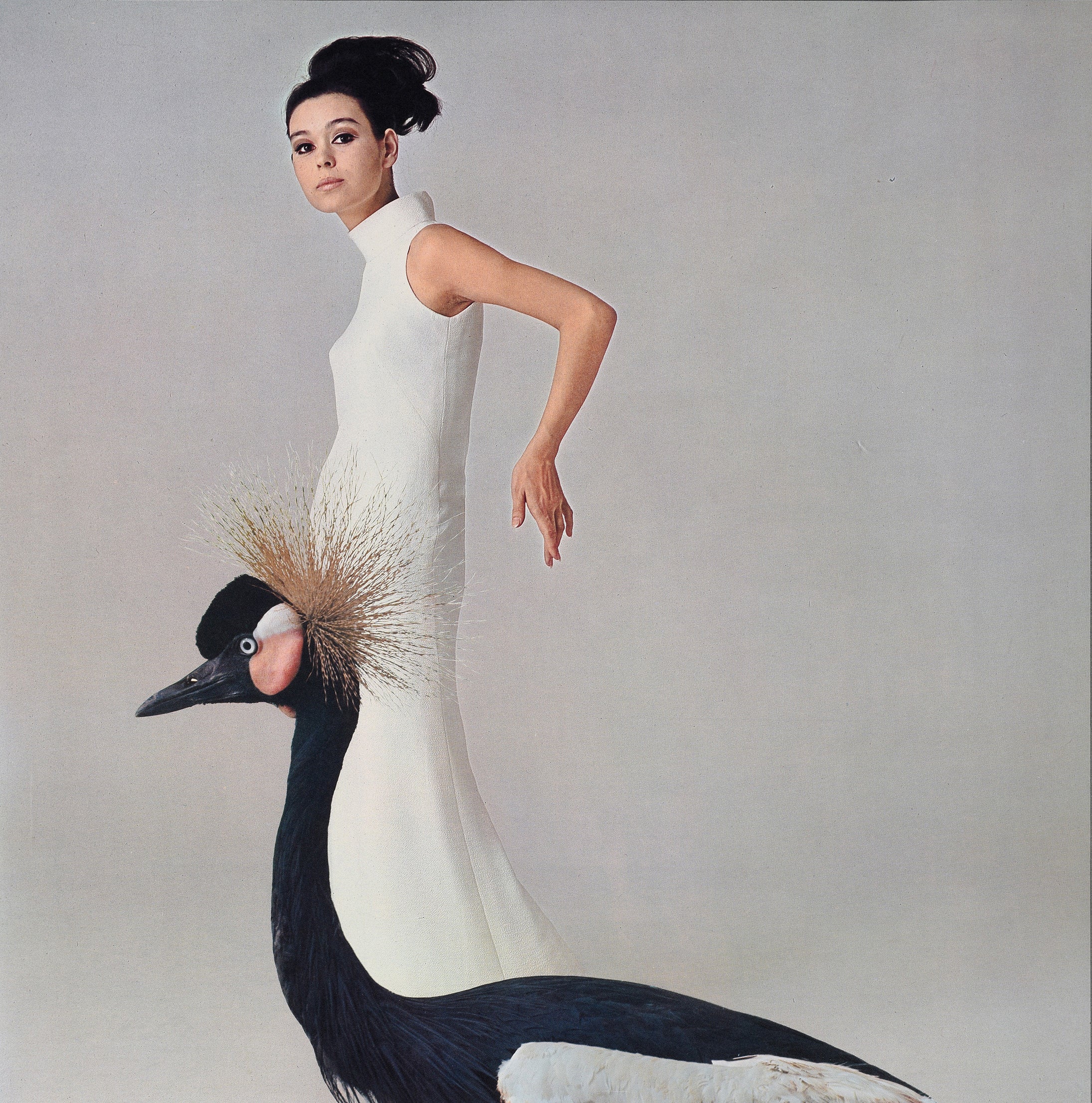 《富士紡績カレンダー　1967》 デザイン：勝井三雄 衣装：森英惠 撮影：奈良原一高 1966年  島根県立美術館蔵　©Mitsuo Katsui