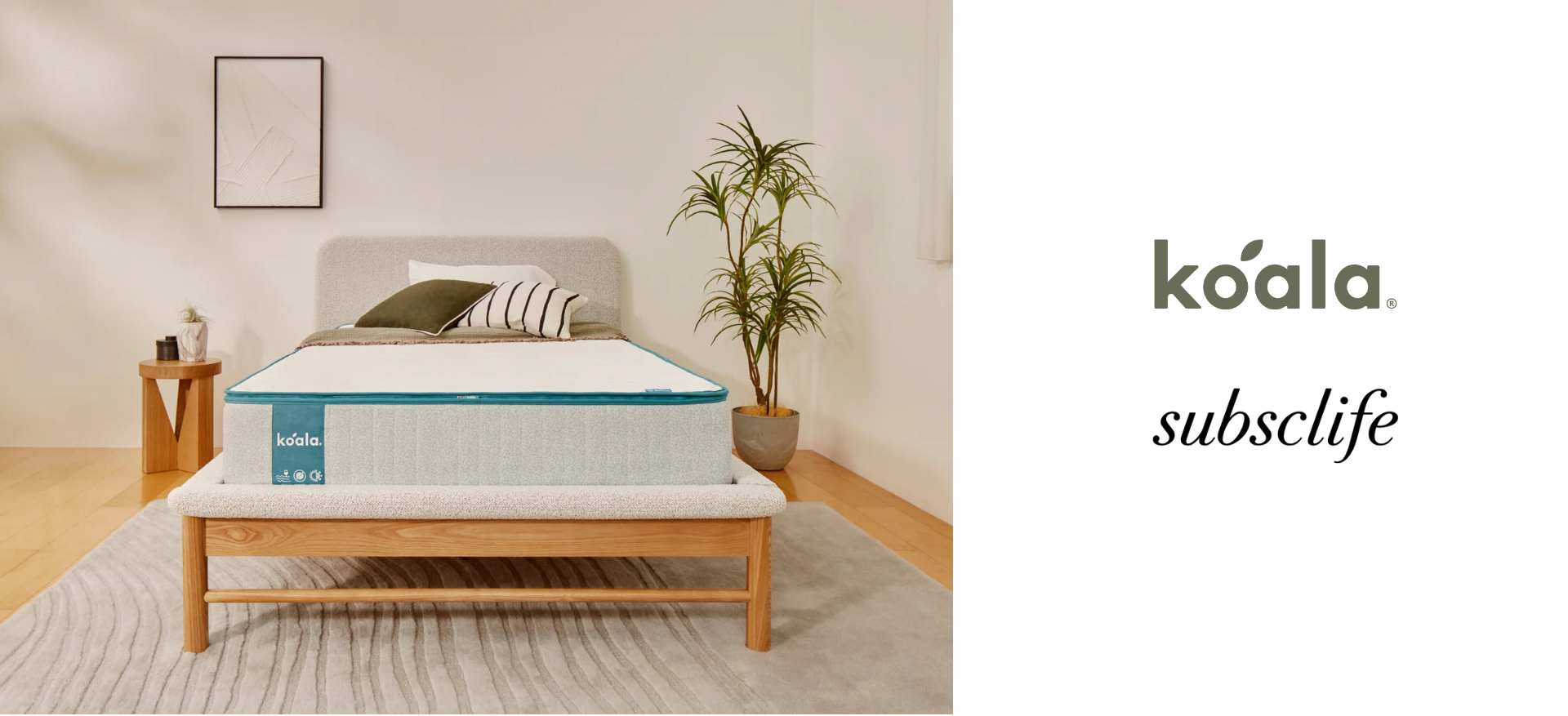 オーストラリア発、マットレス業界に革命をもたらした「コアラ