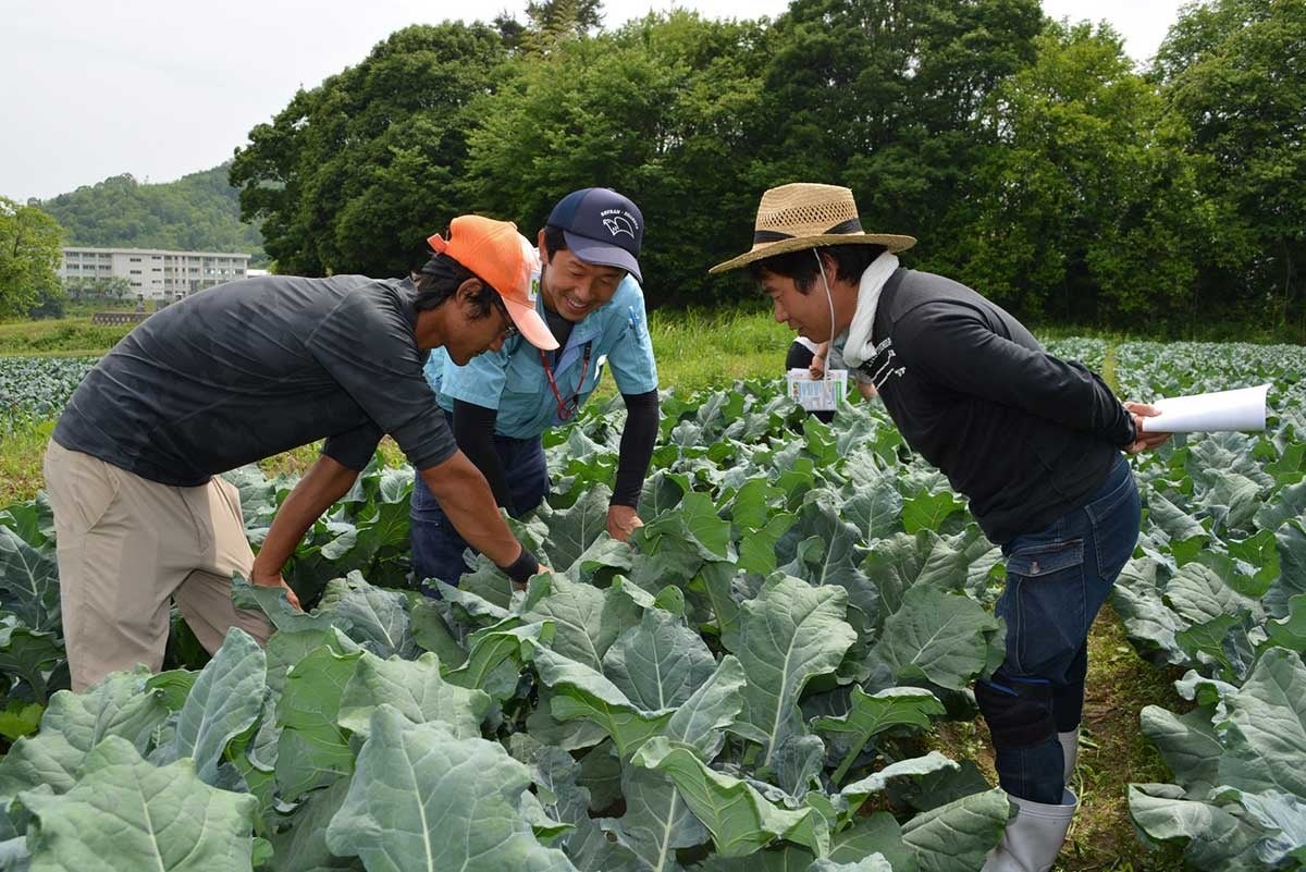 おてつたび、JA広島中央と連携。農業を知る・経験する・相談する機会をつくる
