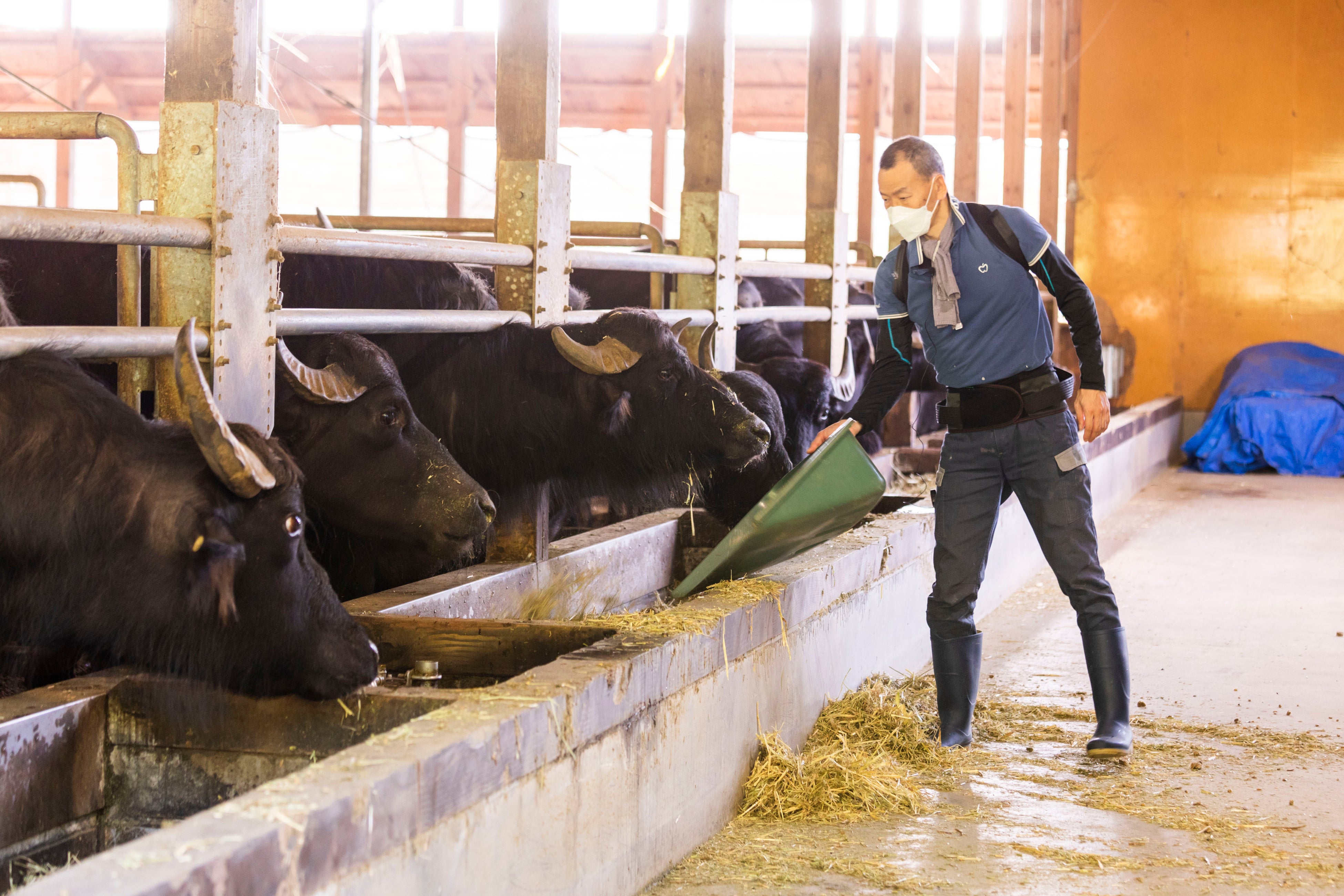 KURKKU FIELDS／クルックフィールズ（千葉県）の牧場からオンライン配信