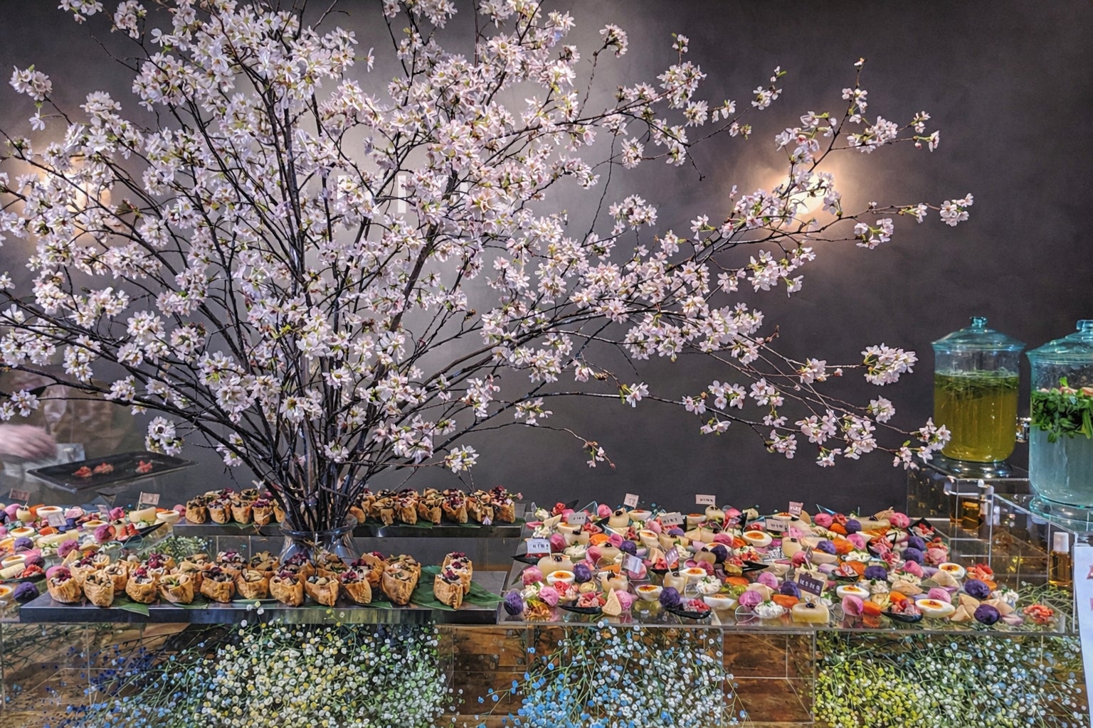 オフィス花見が新定番に】寺井幸也「YUKIYAMESHI」桜装飾付きプラン オフィス花見が新定番に】寺井幸也「YUKIYAMESHI」桜装飾付きプラン