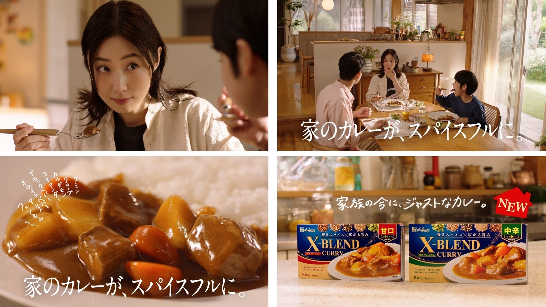 【新TVCM 「X-BLEND CURRY(クロスブレンドカレー)MEGUMI登場」篇より】